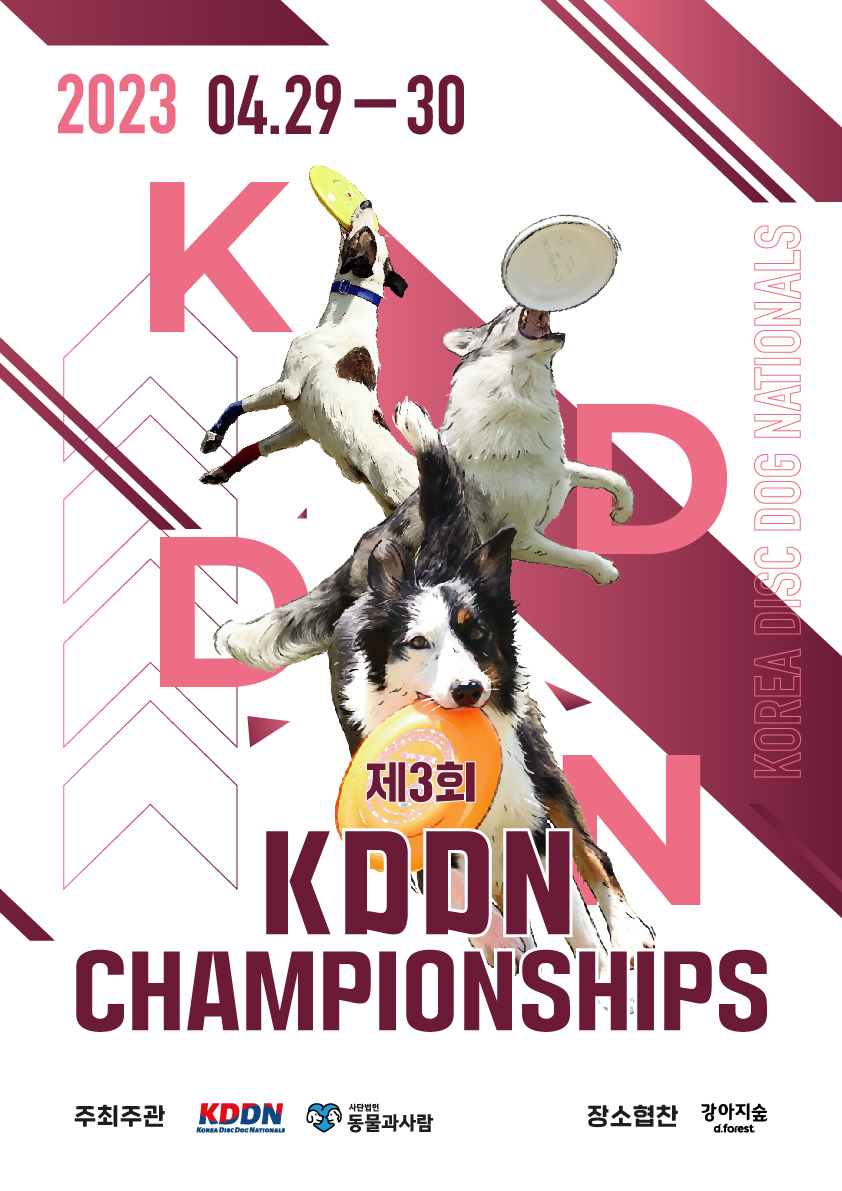 제3회 KDDN CHAMPIONSHIPS 개최 티저 공개