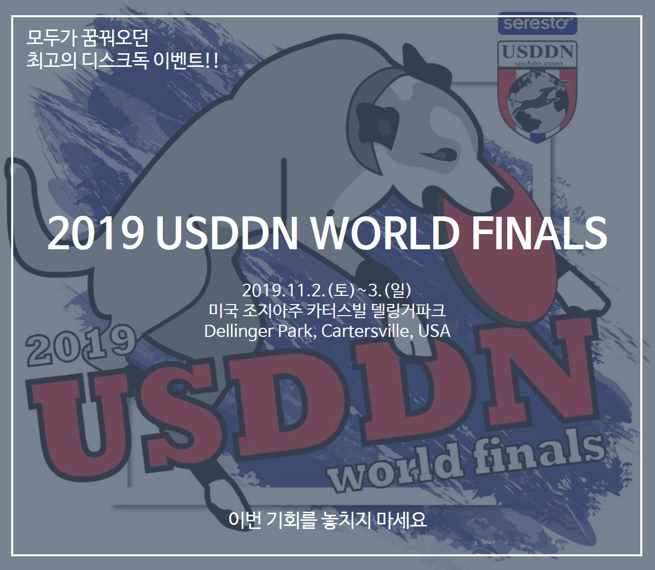 2019 USDDN World Finals 참가안내