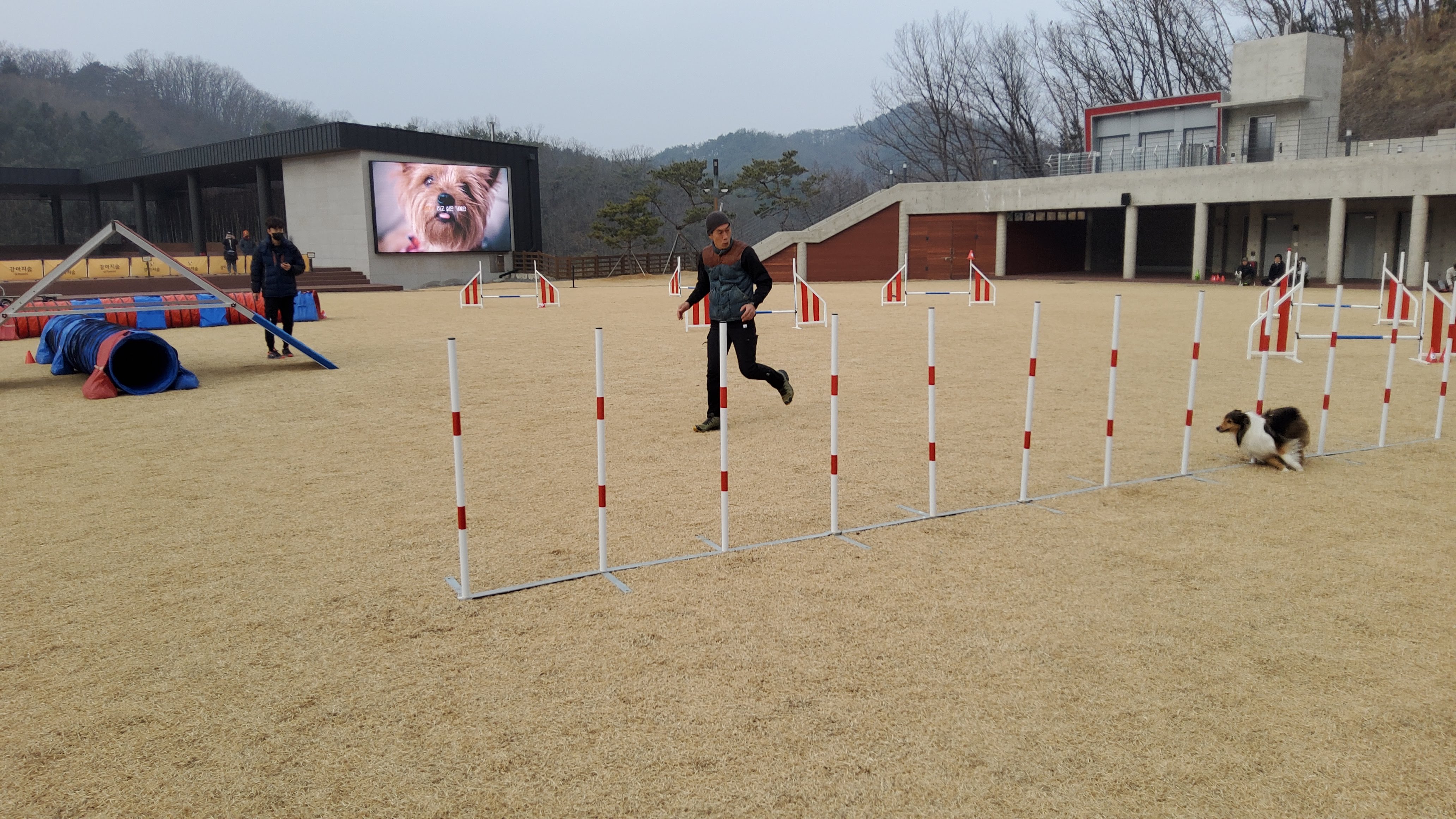 2022 WAO(World Agility Open) 챔피언십 대비 1차 공동훈련